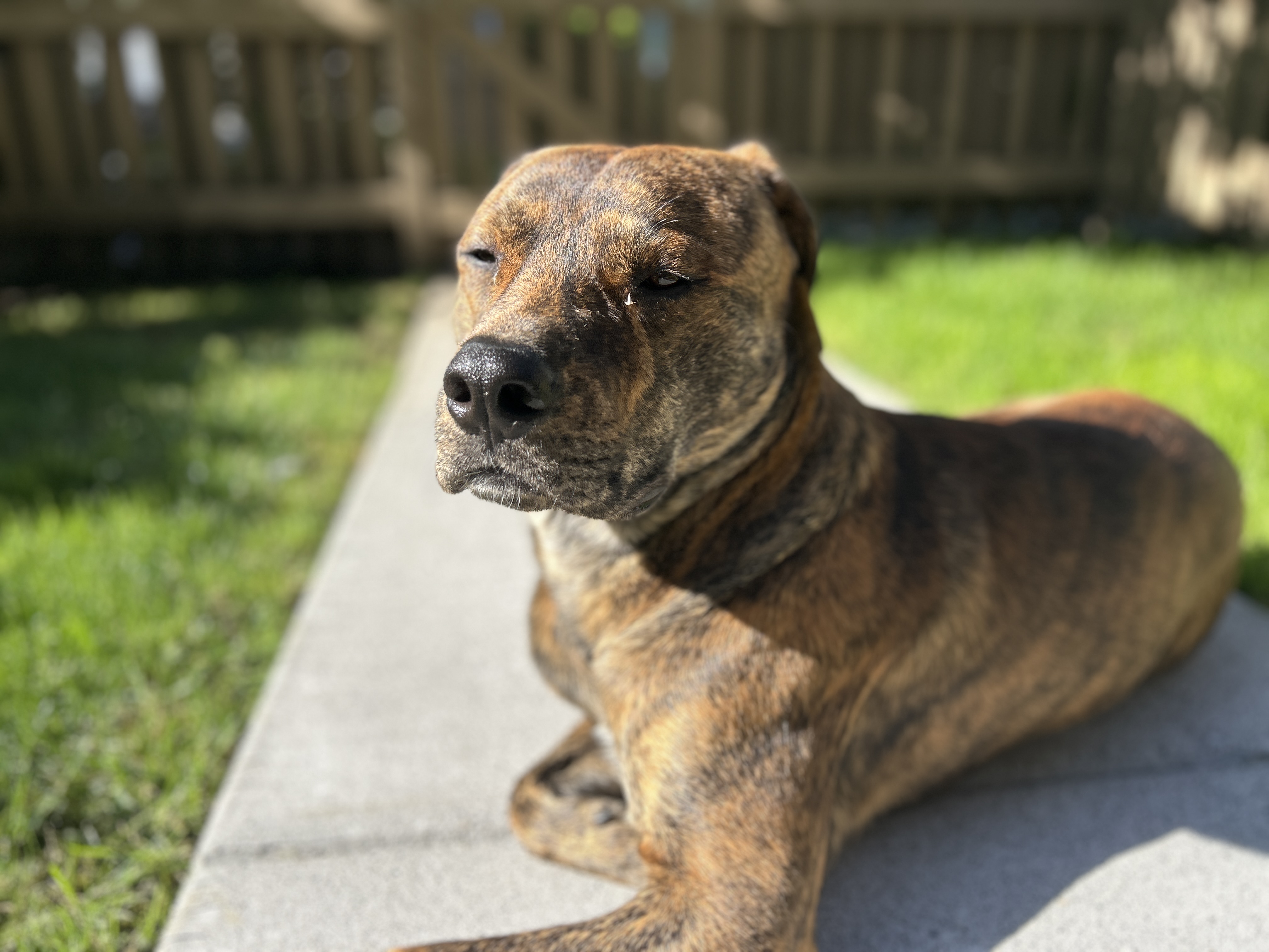 Willie 1